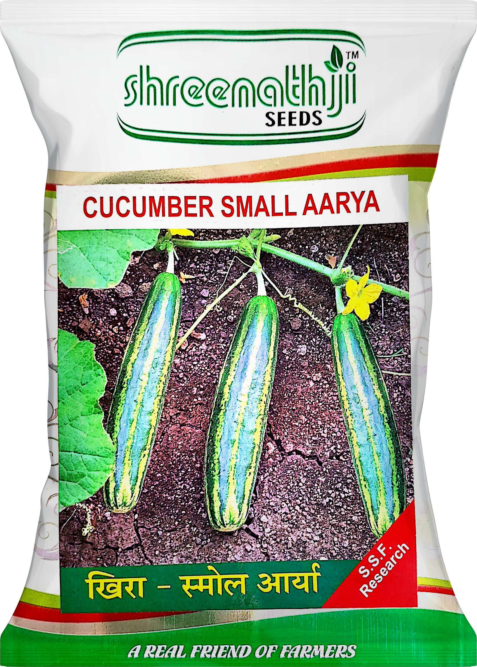 કાકડી સ્મોલ આર્યા